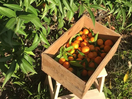 Chez Nathalie du blog Regards et Maisons
