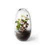 Design House Stockholm - Grow Serre, moyenne