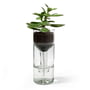 side by side - Self Watering Bottle Pot de fleurs, verre transparent