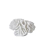 Mette Ditmer - Coral Objet décoratif branchies, blanc