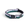 HAY - Dogs Collier de chien, S/M lavande / vert