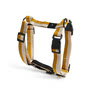HAY - Dogs Harnais pour chien, M, blanc cassé / ocre