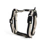 HAY - Dogs Harnais pour chien, M, noir / blanc