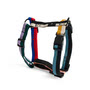 HAY - Dogs Harnais pour chien, M, multi