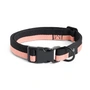 HAY - Dogs Collier de chien, M/L, rose / noir