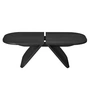 Blomus - Avio Table basse, 100 x 54 cm, noir