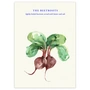 Paper Collective - The Beetroots Poster, 100 x 140 cm