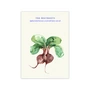 Copie - Paper Collective - The Beetroots Poster, 50 x 70 cm