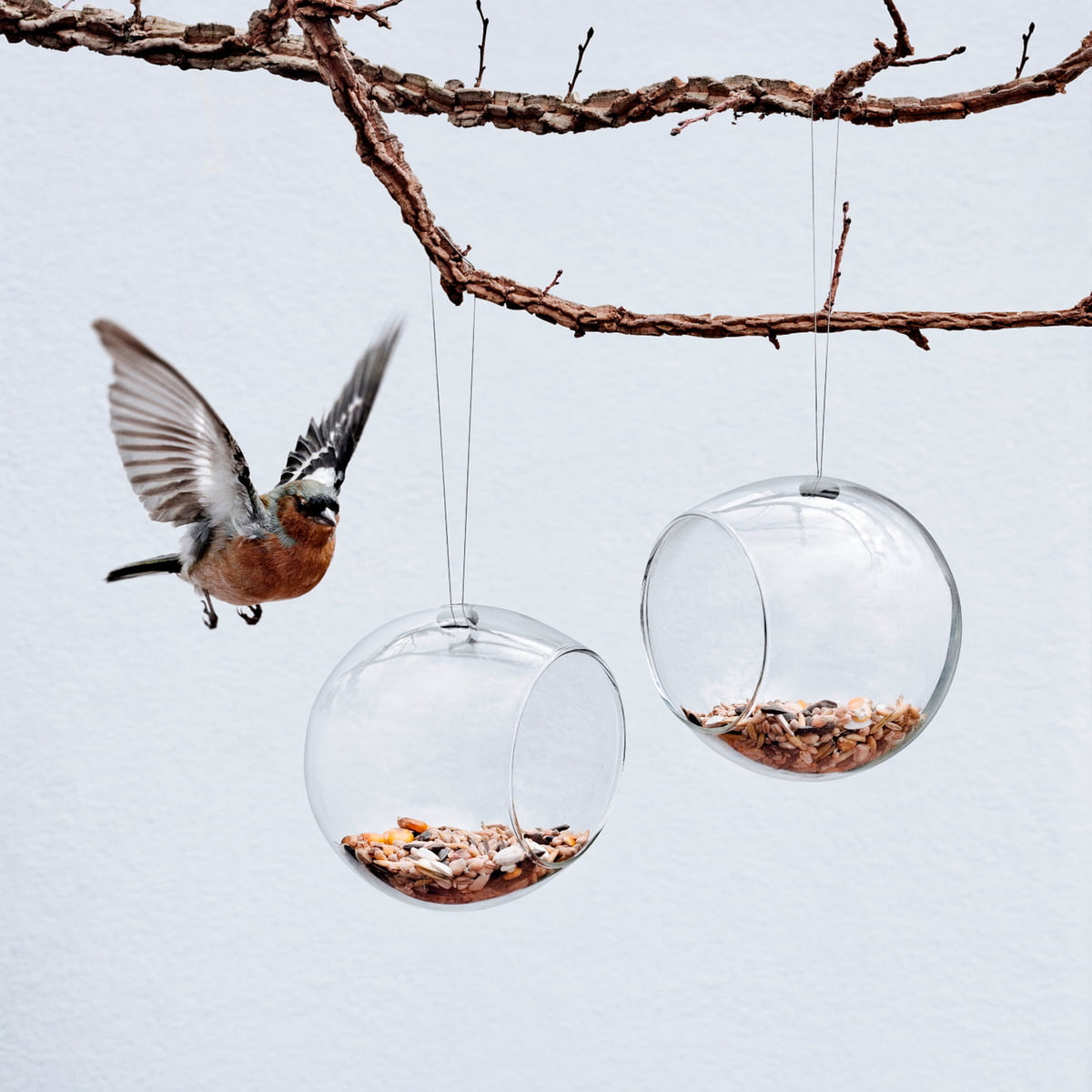 Mangeoire pour oiseaux rectangulaire transparente, mangeoire à