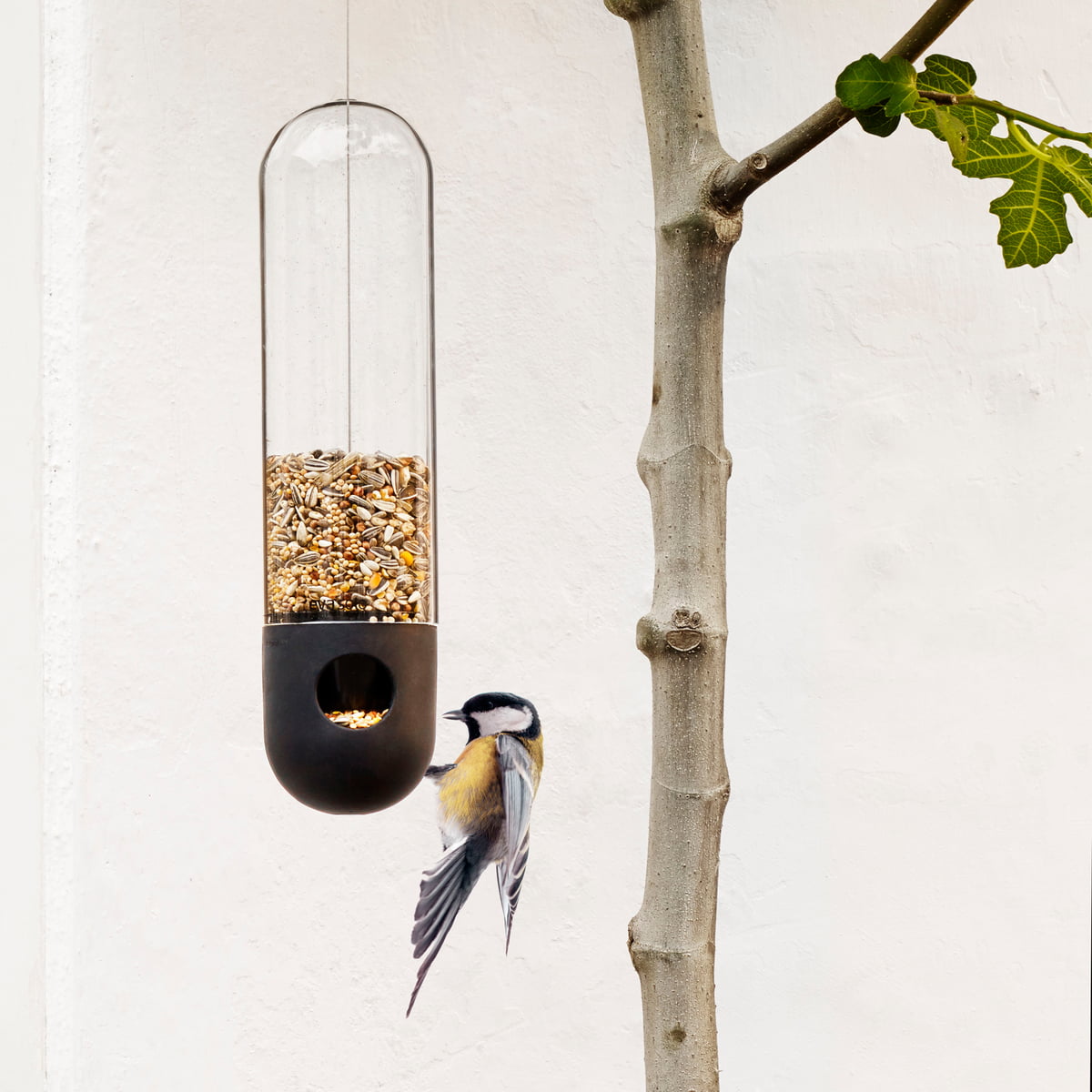 Mangeoire à oiseaux décorative, plateau à graines pour oiseaux