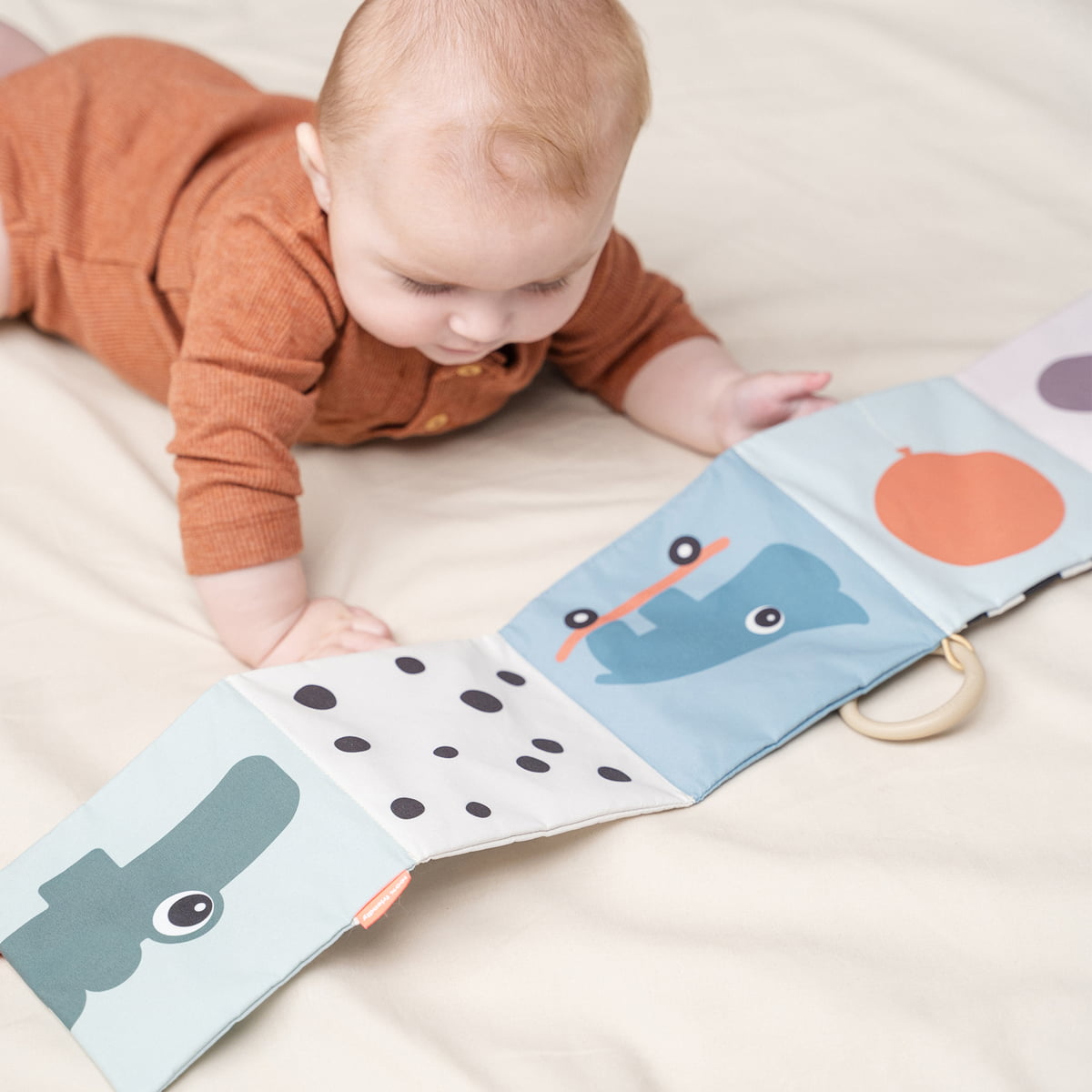 Activity-board Livre bébé Livre bébé en tissu - 2 pièces de livre