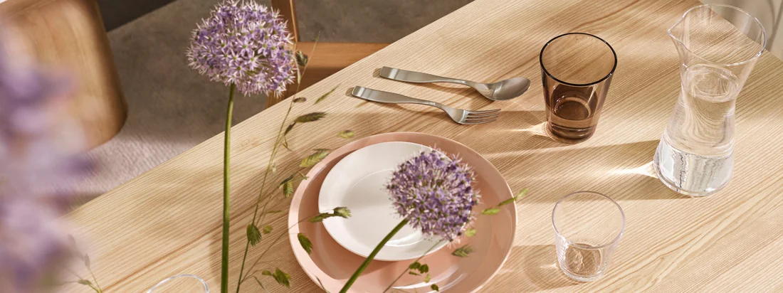 Iittala - Collection de fabricants Bannière Teema