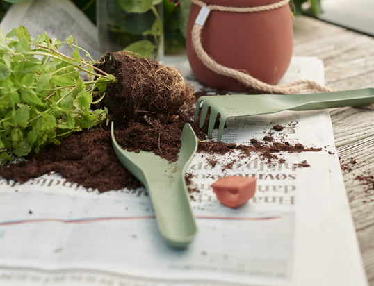 Trouvez une variété d'outils de jardin dans notre boutique en ligne Connox.