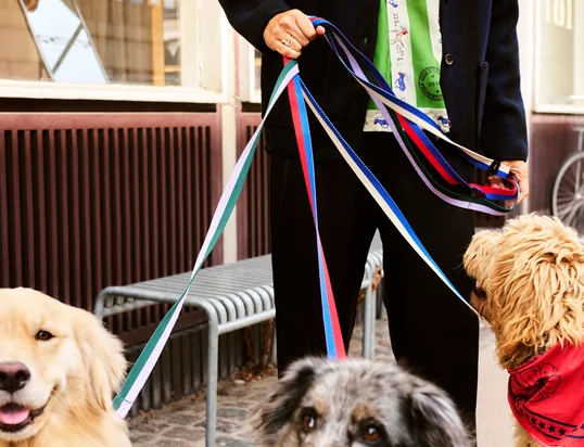 Dogs - Laisse pour chien de Hay