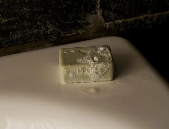 Les parfums Mnemonic évoquent des souvenirs de la nature sauvage et des matières premières dans une exploration sincère des sens, basée sur les associations et la familiarité.