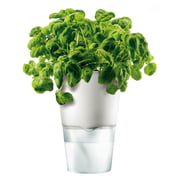 Eva Solo- Pot à herbes Ø 11 cm 