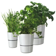 Rosti Mepal - Pot d’herbes Hydro