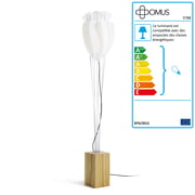 Domus - Lampadaire Tulip