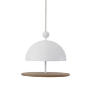 Frederik Roijé - Dish of Desire mangeoire