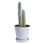 Hay - Pot de fleur avec soucoupe