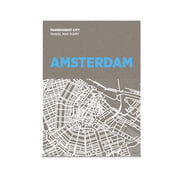 Palomar - Transparent City