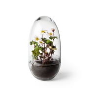 Design House Stockholm - Serre Grow Mini