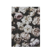 IXXI - Pivoines (Lemholt)