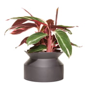 Boskke - Pot pour plantes en forme de bobine