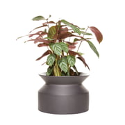 Boskke - Pot pour plantes en forme de bobine