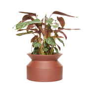 Boskke - Pot pour plantes en forme de bobine