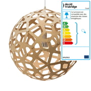 David trubridge - Luminaire suspendu en corail