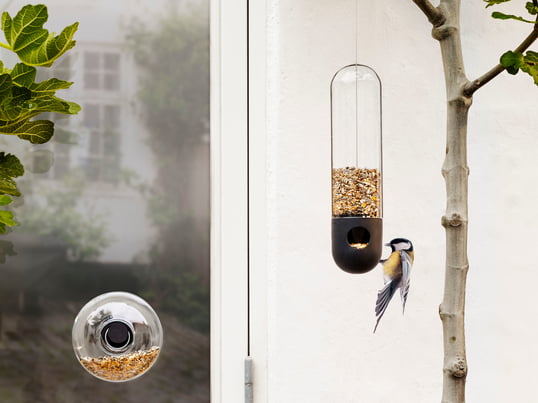 Les mangeoires agissent contre la disparition croissante des oiseaux en offrant un lieu de détente et de ravitaillement.