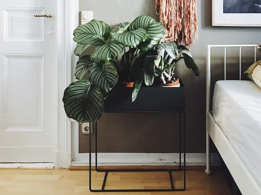 ferm Living - Plant Box, noir - situation - blog Herz & Blut