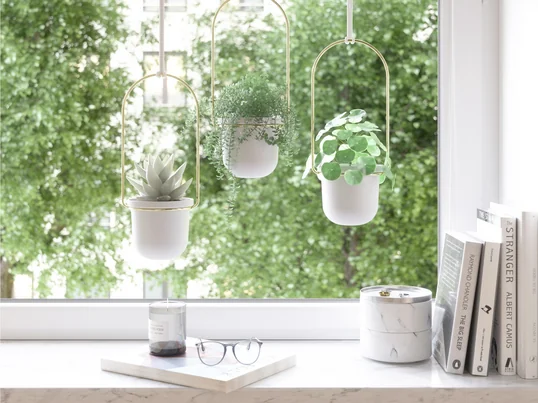 Le panier Umbra suspendu Triflora est une belle façon d'accrocher des fleurs et des plantes à l'intérieur. Le support combine la construction d'une tringle à rideau avec des pots de plantes et peut être merveilleusement suspendu au-dessus de la fenêtre ou au mur dans la cuisine ou le salon.