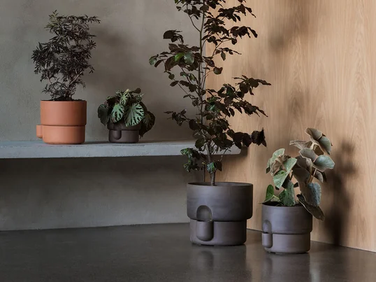 Oasis - Pot de fleurs de Northern