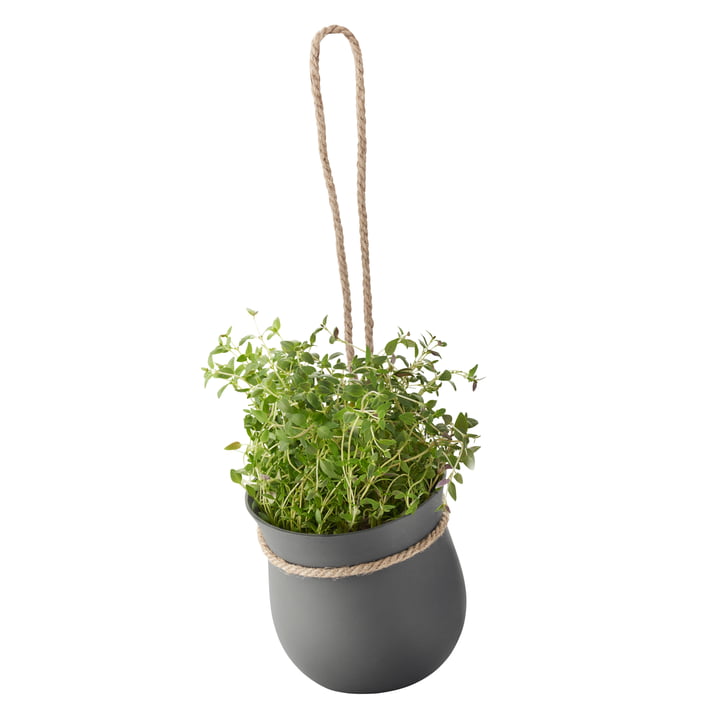 Grow-It Pot à herbes aromatiques de Rig-Tig by Stelton en gris