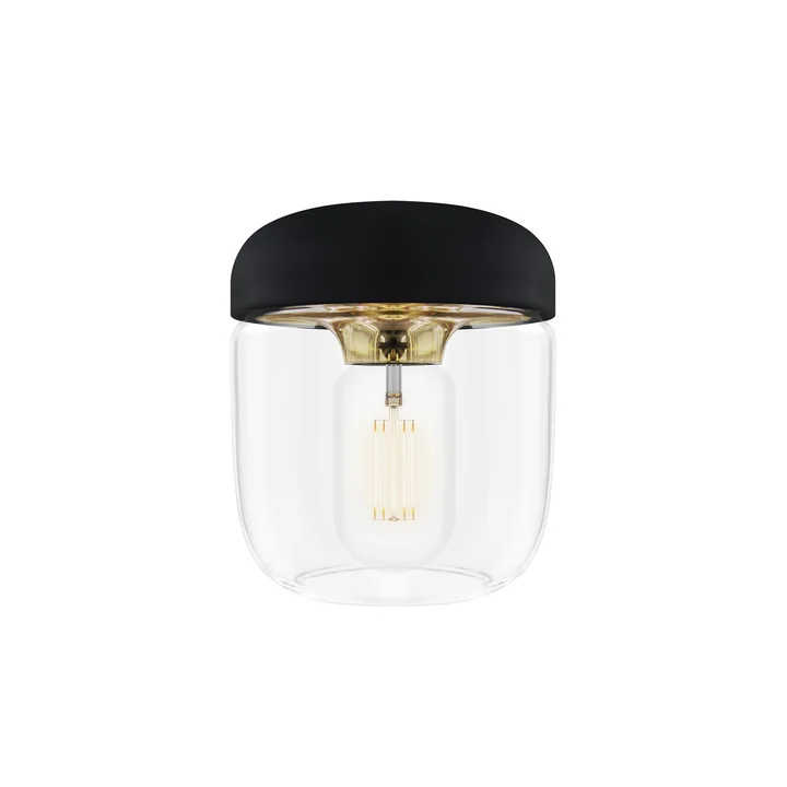 Acorn Lampe de Umage en laiton poli
