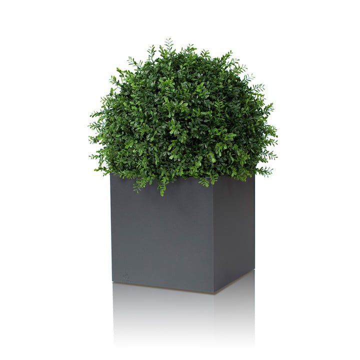 Jardinière Linné 50 x 50 x 50 cm de Röshults en anthracite