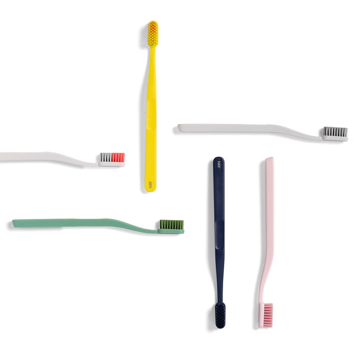 La brosse à dents HAY - Tann dans le groupe