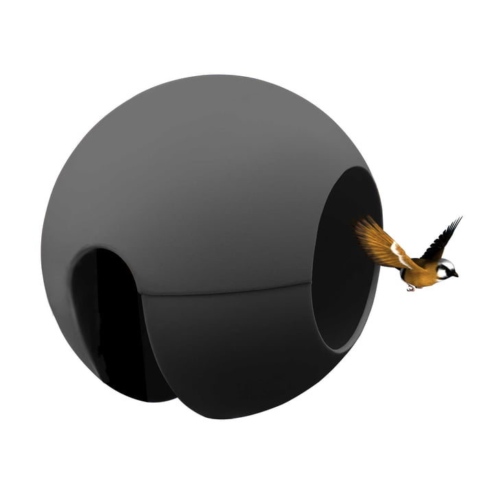 Le rephorm - ballcony birdball Station d'alimentation en graphite