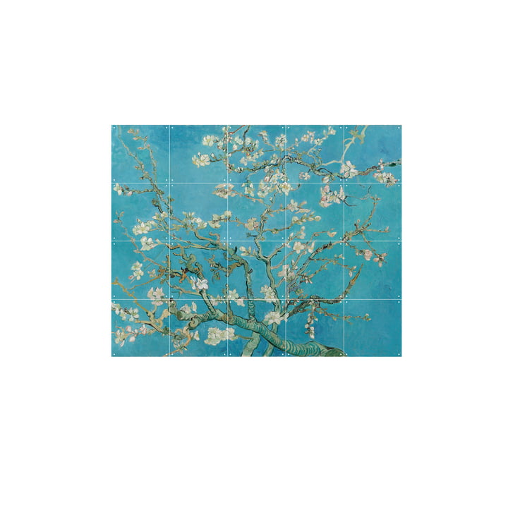 Amandier en fleurs (Vincent Van Gogh) 100 x 80 cm de IXXI