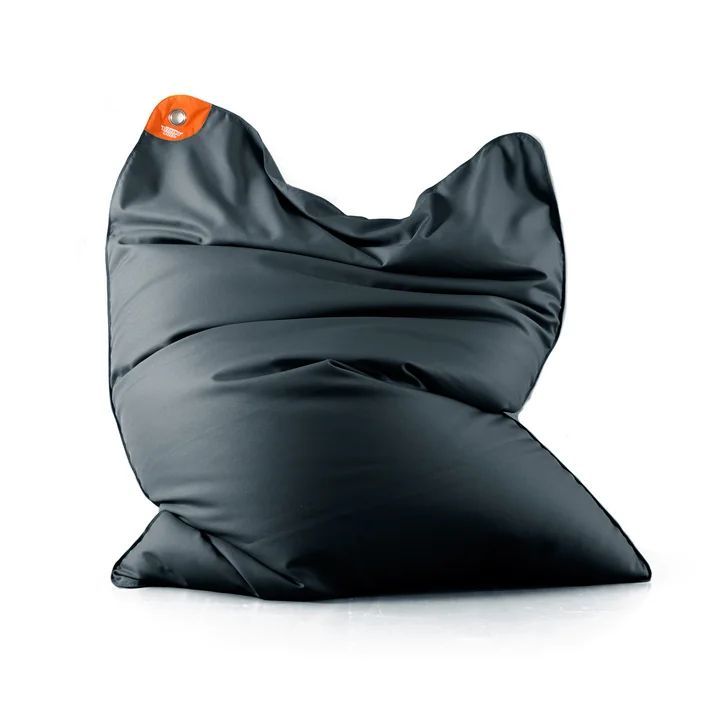 Pool Bull de Sitting Bull en gris