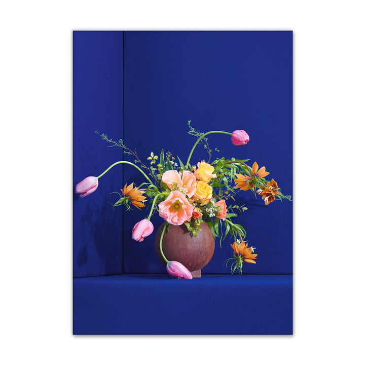Blomst de Paper Collective , 50 x 70 cm en bleu