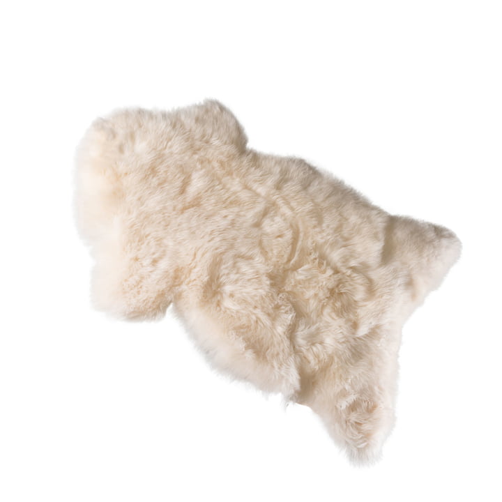 Peau de mouton en mouton blanc par Weltevree 