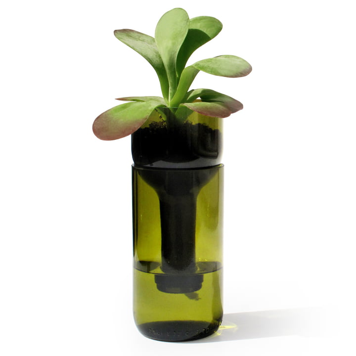 Le pot de fleurs Self Watering Bottle de side by side en vert
