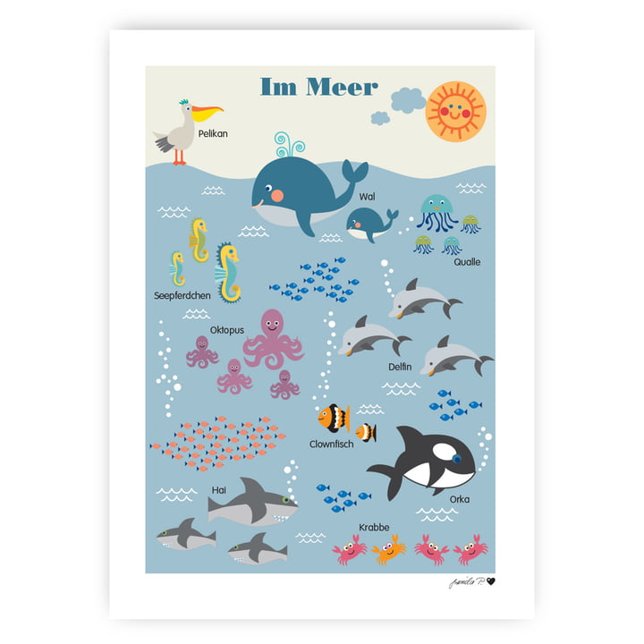 Le poster des animaux marins de byGraziela , 50 x 70 cm