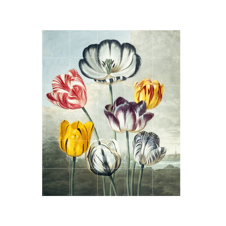Tulipes murale 100 x 120 cm de IXXI