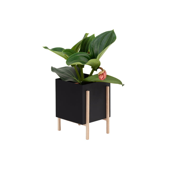 Le site Botanic Pot de Design House Stockholm , noir / nature