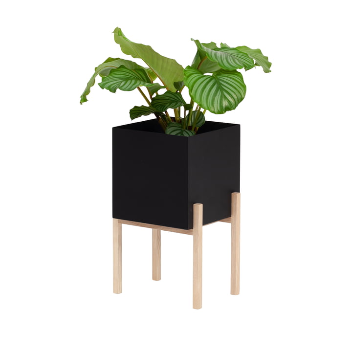 Le site Botanic Pedestal Pot de Design House Stockholm , noir / nature