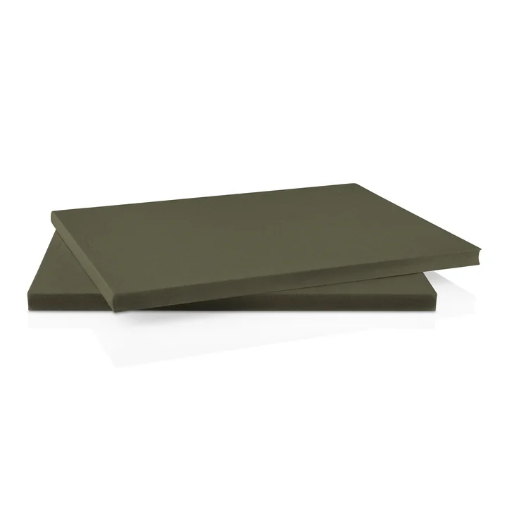 Green Tool DoubleUp Planche à découper de Eva Solo